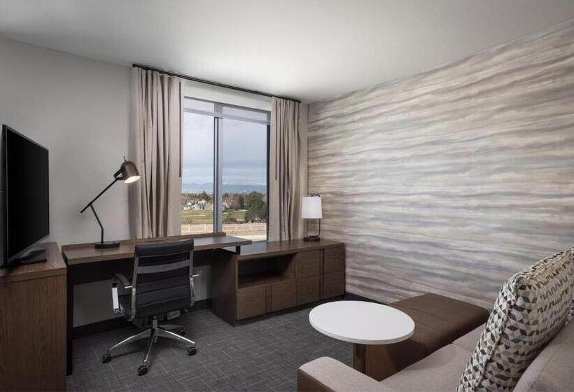 إستوديو قياسى سرير كينج, Residence Inn By Marriott Denver Aurora