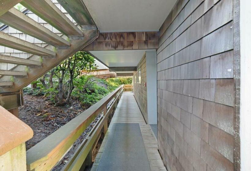 דירת שני חדרים, Embarcadero Bay View