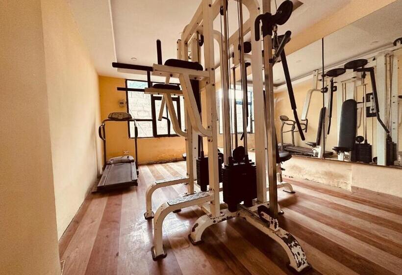 Номер Superior Кровать Кинг, Kalinga Grand Manali