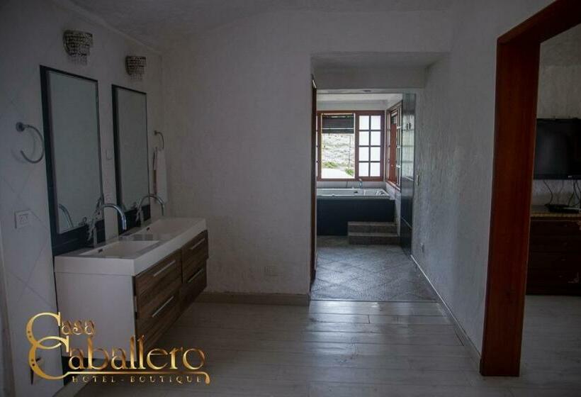 디럭스 스튜디오, Casa Caballero Hotel Boutique