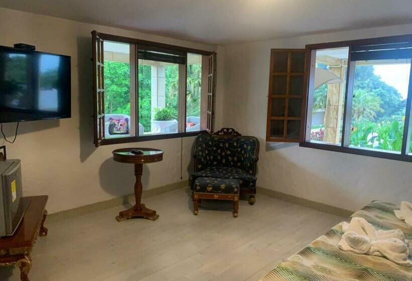 Номер Deluxe Кровать Кинг, Casa Caballero Hotel Boutique