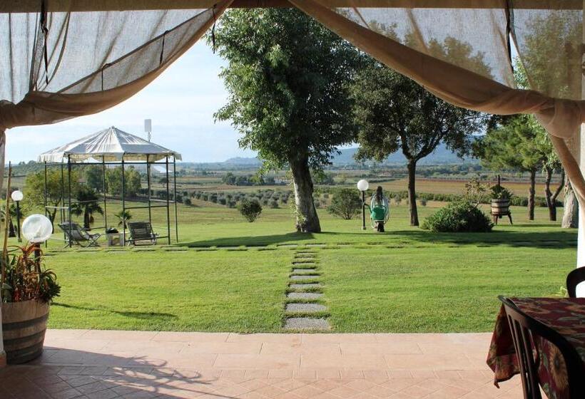 Апартаменты 1 Спальня Нижний Этаж, Agriturismo Il Montoto