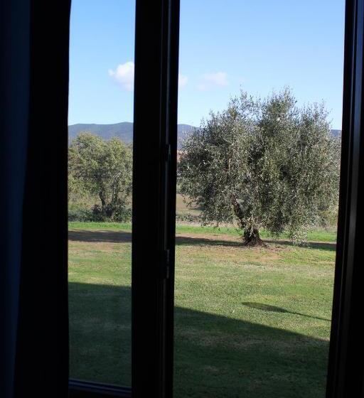 Апартаменты 1 Спальня Нижний Этаж, Agriturismo Il Montoto