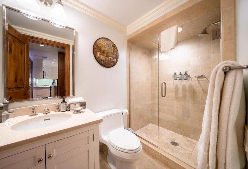 דירה בת חדר שינה 1 עם נוף, Lodge At Vail Condominiums