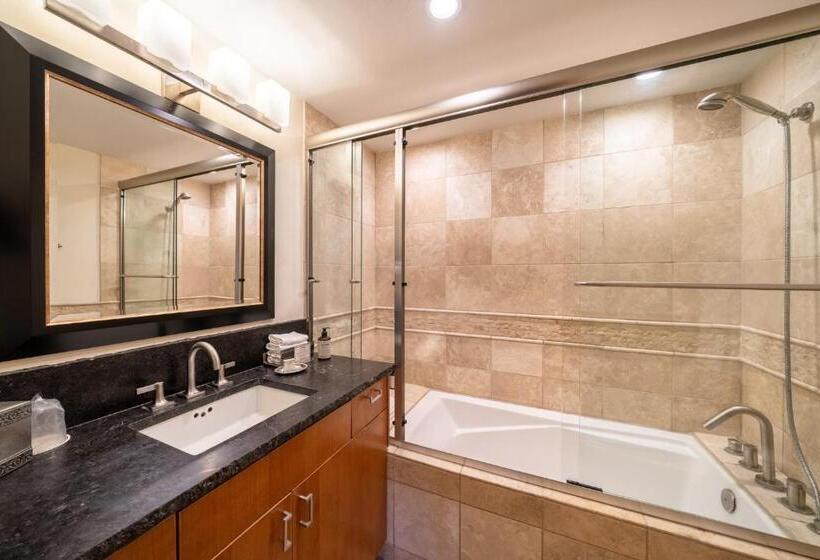 דירת חדר, Lodge At Vail Condominiums