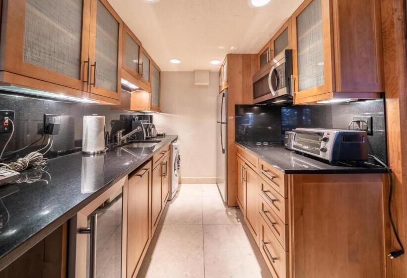 דירת שני חדרים, Lodge At Vail Condominiums