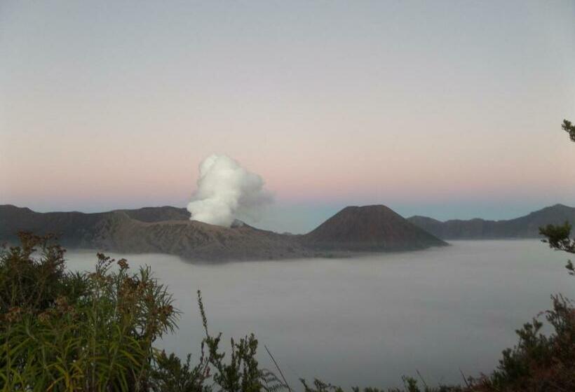 חדר סטנדרט, Rumah Singgah Brm