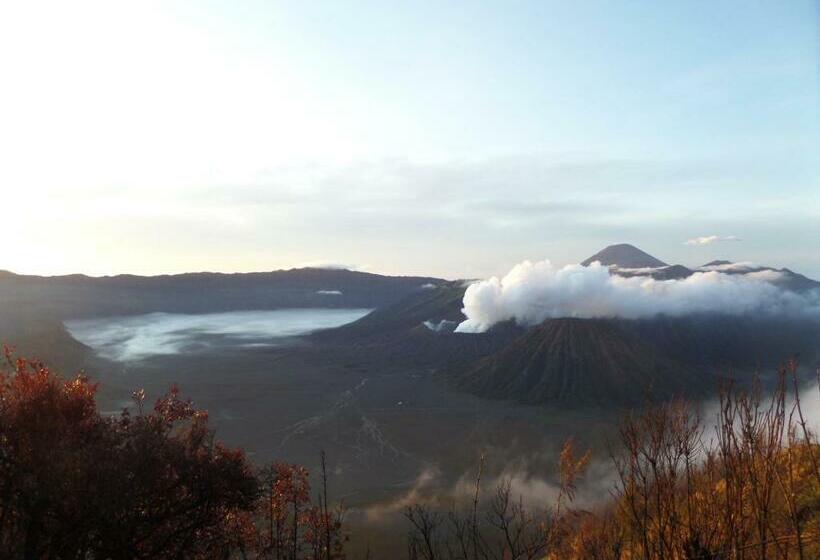 חדר משפחתי, Rumah Singgah Brm