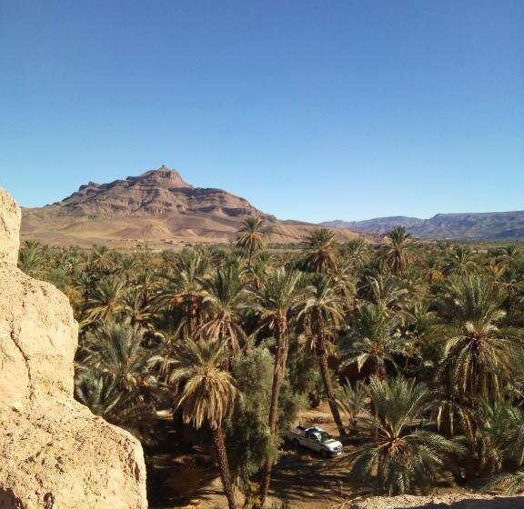 스위트, Dar Amazir