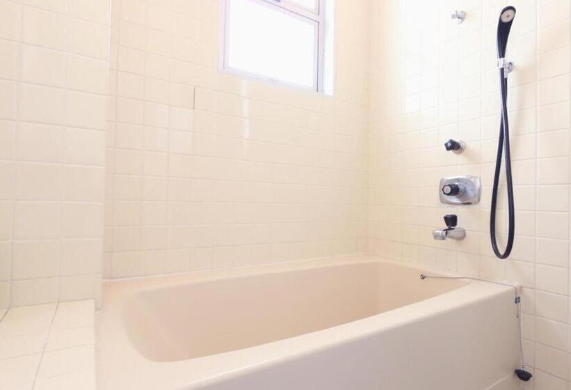 דירת חדר, Shirasakiso