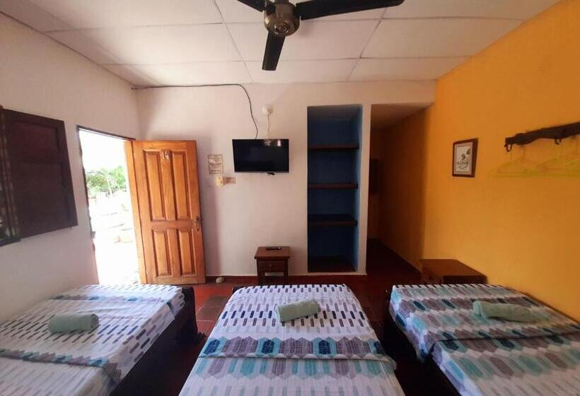 اتاق استاندارد سه نفره, Hostal La Casa De Felipe