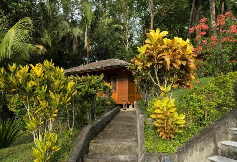 オーシャンビューのスタンダードバンガロー, K2 Lembeh Dive Resort