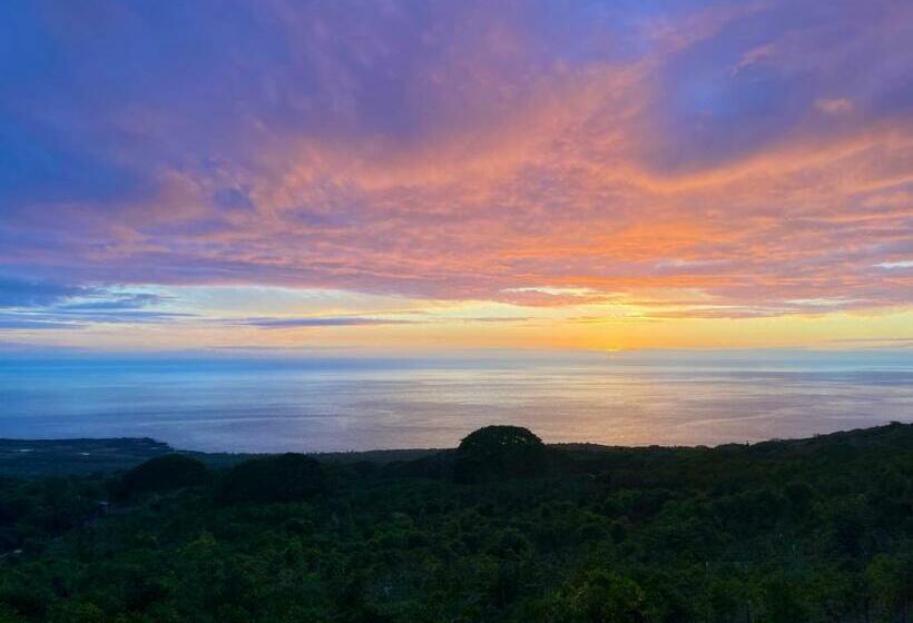 غرفة قياسية ذات إطلالة, Nohokai At Kona Joe Coffee Farm
