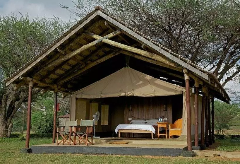 اتاق لوکس سه تخته, Ashnil Aruba Lodge