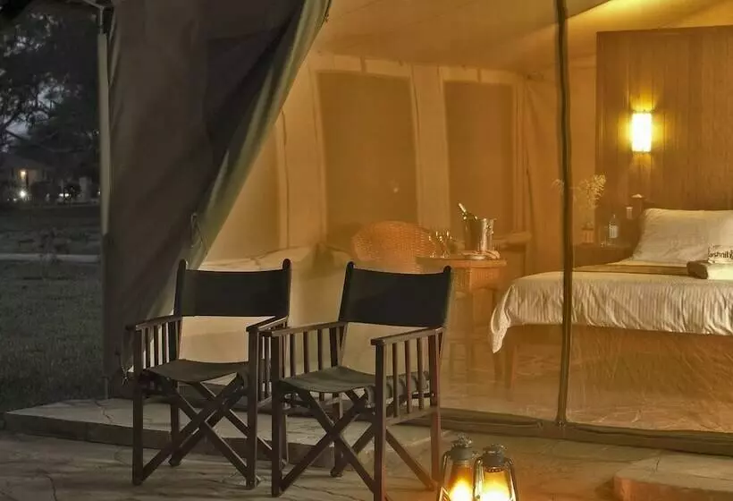 اتاق لوکس سه تخته, Ashnil Aruba Lodge