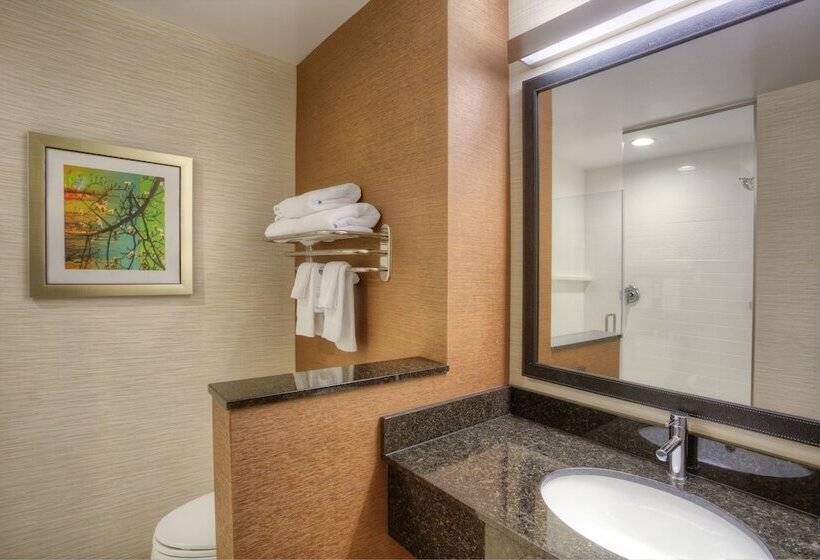 סוויטה אקזקיוטיב, Fairfield Inn & Suites By Marriott Austin San Marcos