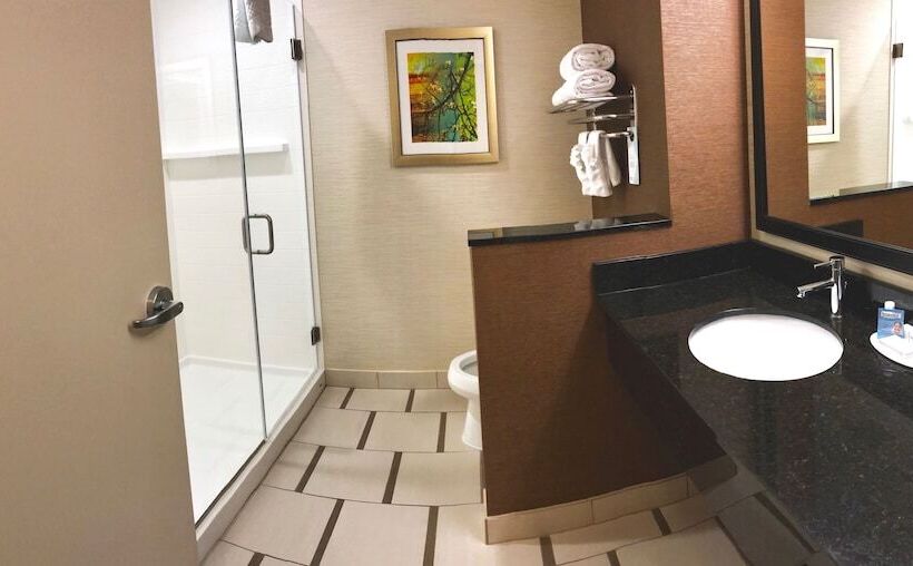 סוויטה אקזקיוטיב, Fairfield Inn & Suites By Marriott Austin San Marcos