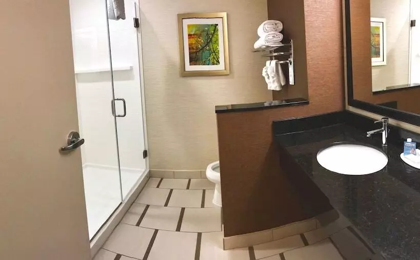 エクゼクティブスイート, Fairfield Inn & Suites By Marriott Austin San Marcos