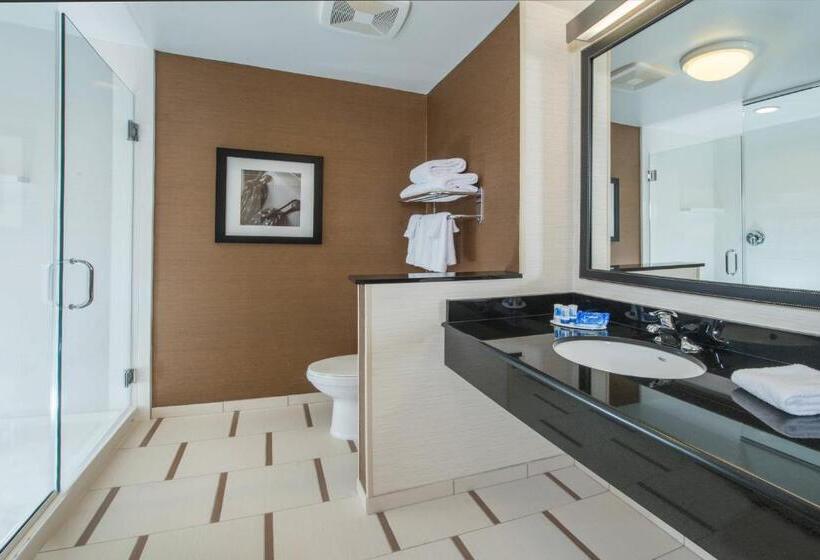 스탠다드 룸 킹사이즈 침대, Fairfield Inn & Suites By Marriott Easton