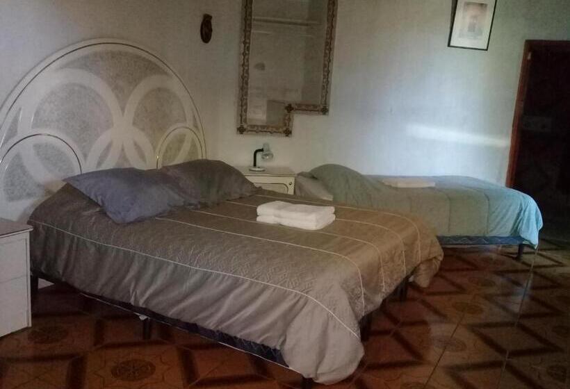 سوئیت برای معلولان, Nuestro Sueño