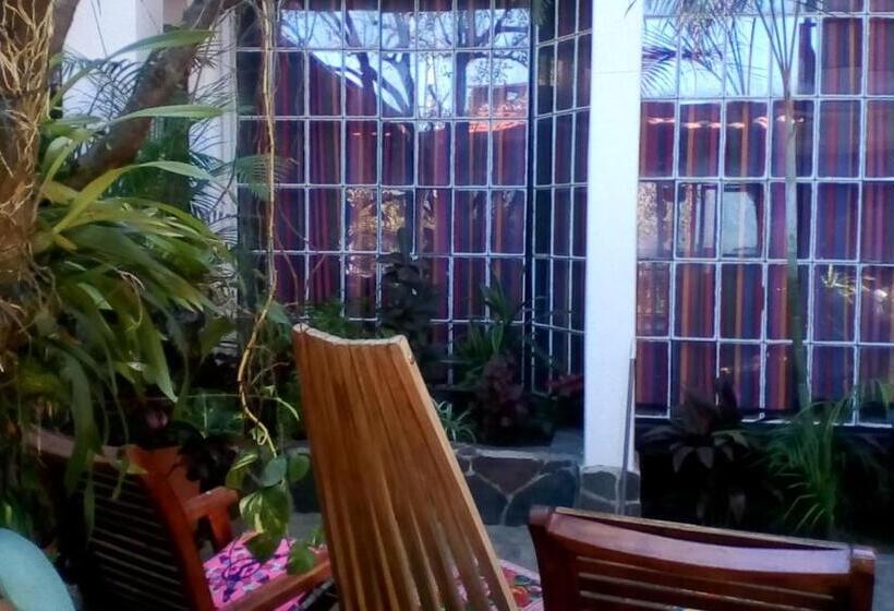 سوئیت برای معلولان, Nuestro Sueño