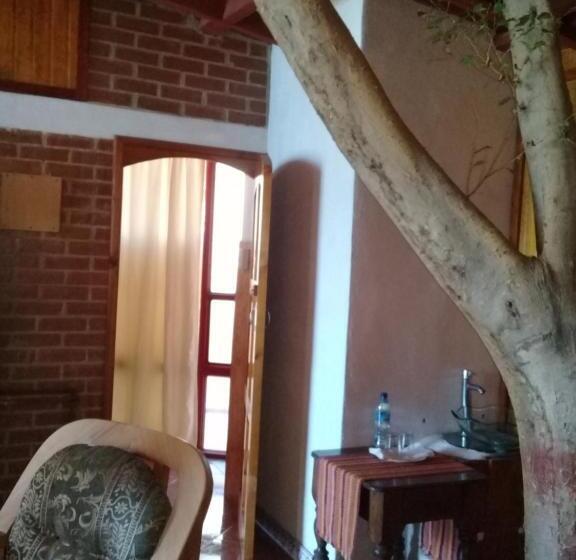 اتاق خانواده اجرایی, Nuestro Sueño