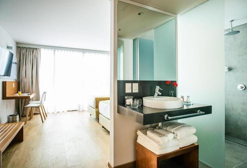 اتاق استاندارد, Own Montevideo