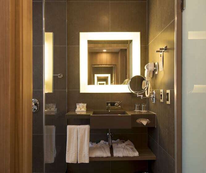 带1个卧室的行政公寓, Novotel Santos Gonzaga