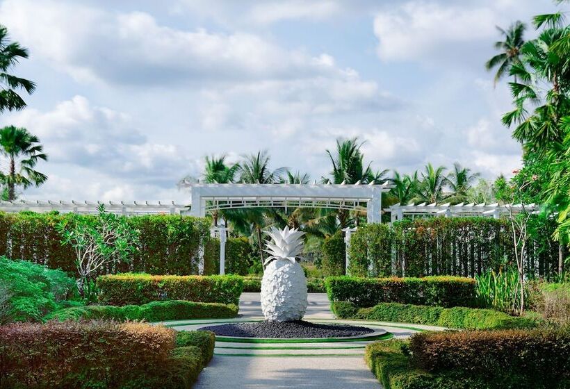 주니어 스위트, The Sanchaya