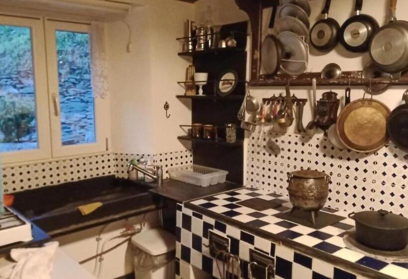 חדר סטנדרט, @gatetothewild