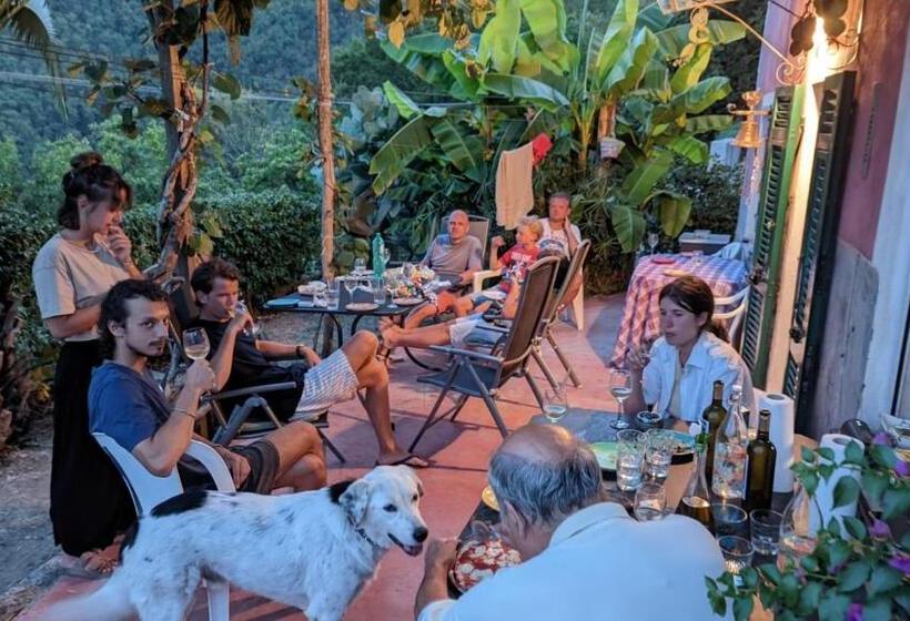 מיטה בחדר משותף, @gatetothewild