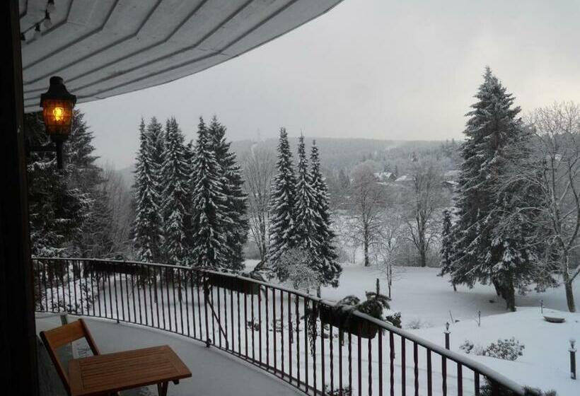 غرفة قياسية فردية مزودة بشُرفة, Dein