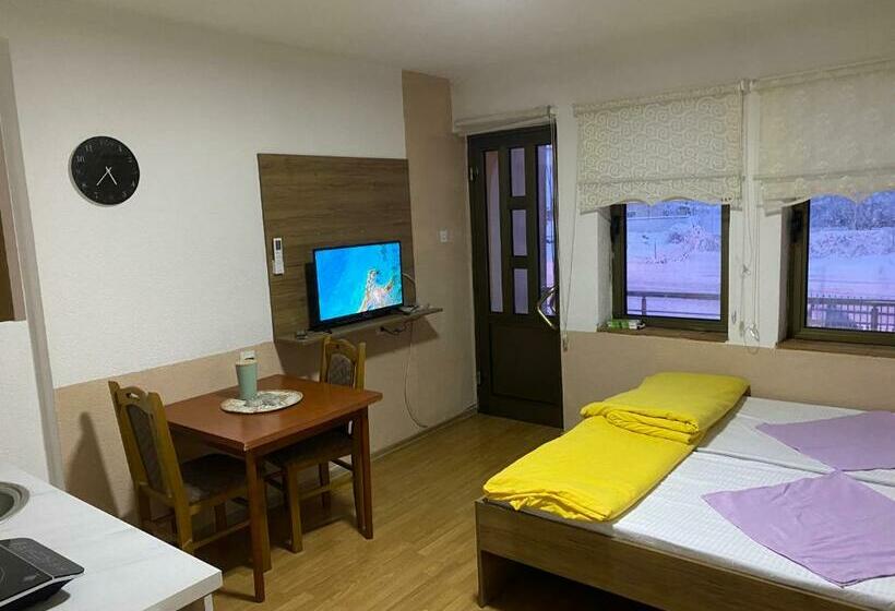 اتاق استاندارد, Sarah Apartments