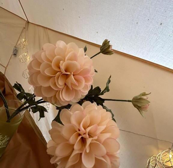 چادر با خدمات رفاهی استاندارد, Sambla Majutus