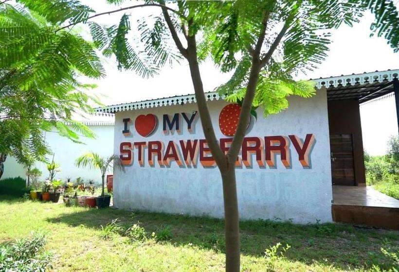 带大床的豪华间, Strawberry Resort