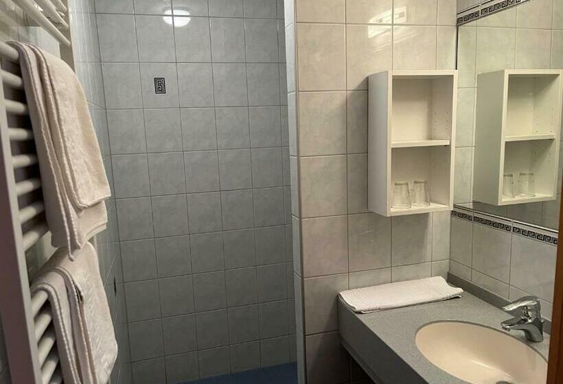 חדר סטנדרט, Wohlfühl Hotel Wiesenhof