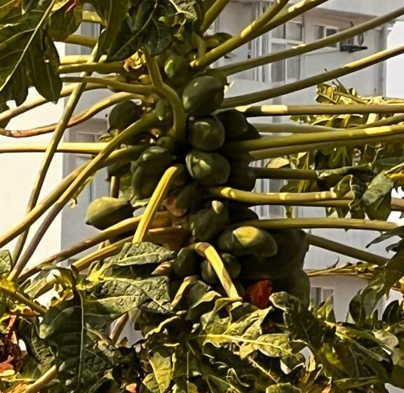 Номер Deluxe, The Lovina Place