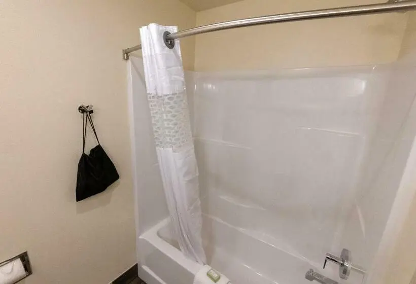 スタンダードルーム, Cobblestone Hotel & Suites Sheldon