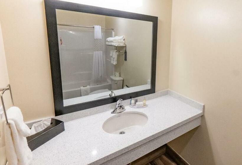 Номер Стандарт, Cobblestone Hotel & Suites Sheldon