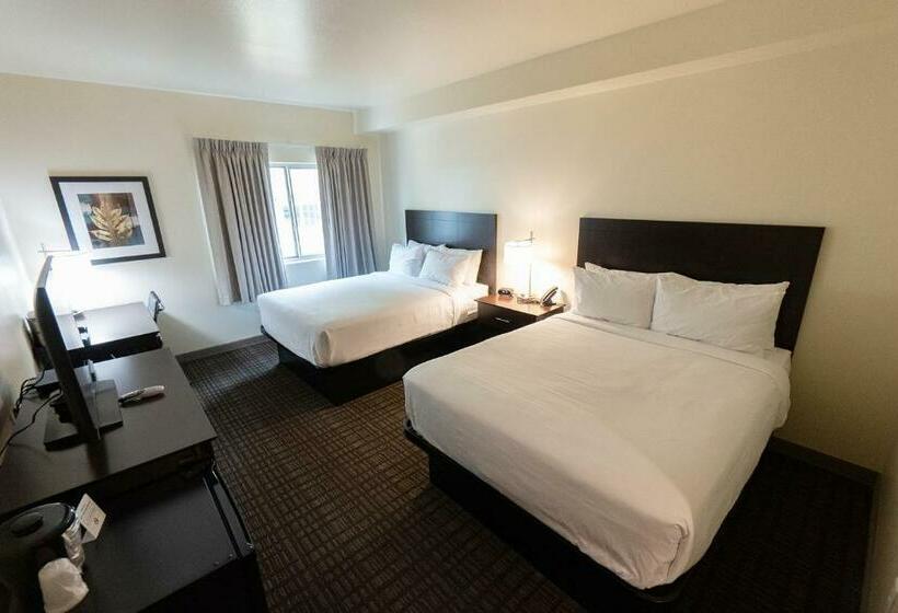 Номер Стандарт, Cobblestone Hotel & Suites Sheldon