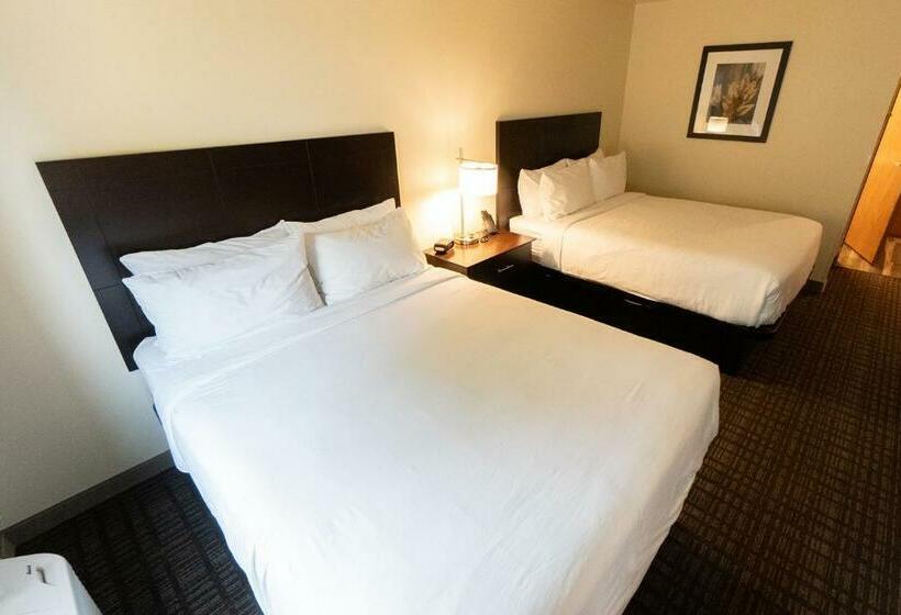 스탠다드 룸, Cobblestone Hotel & Suites Sheldon