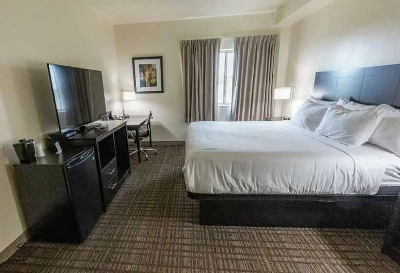 スタンダードシングルルーム, Cobblestone Hotel & Suites Sheldon