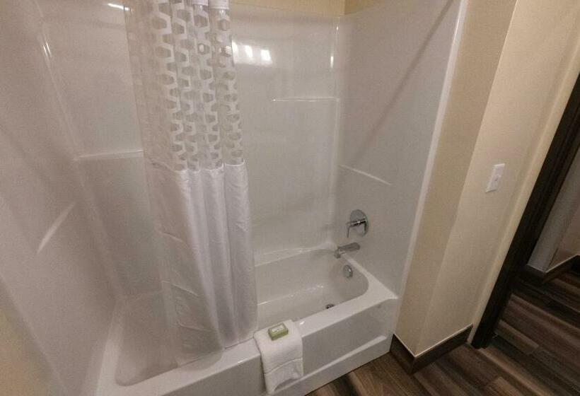 Номер Стандарт Индивидуальный, Cobblestone Hotel & Suites Sheldon