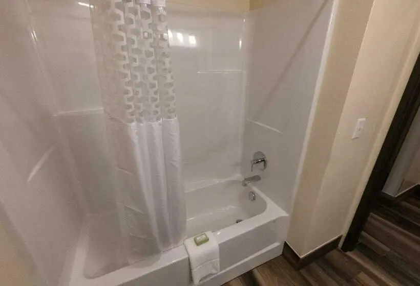スタンダードシングルルーム, Cobblestone Hotel & Suites Sheldon