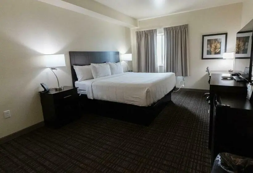 スタンダードシングルルーム, Cobblestone Hotel & Suites Sheldon