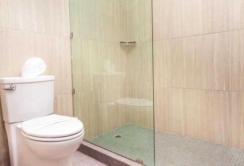 小型套房, Aspira Hotel Playa Del Carmen