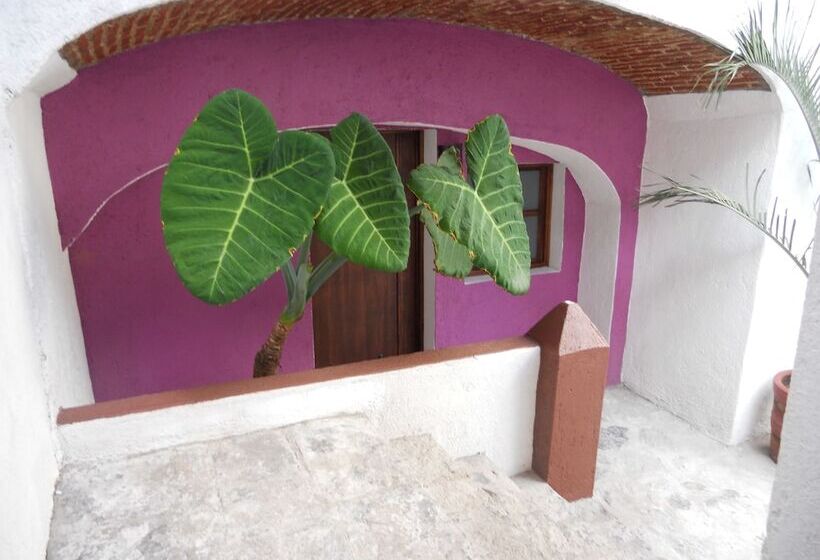 جناح, Casa Abolengo