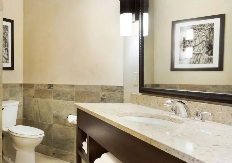 デラックスルーム, Drury Plaza Hotel In Santa Fe
