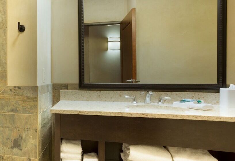 غرفة ديلوكس مزودة بتراس, Drury Plaza Hotel In Santa Fe