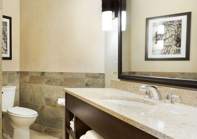 Номер Deluxe с Террасой, Drury Plaza Hotel In Santa Fe